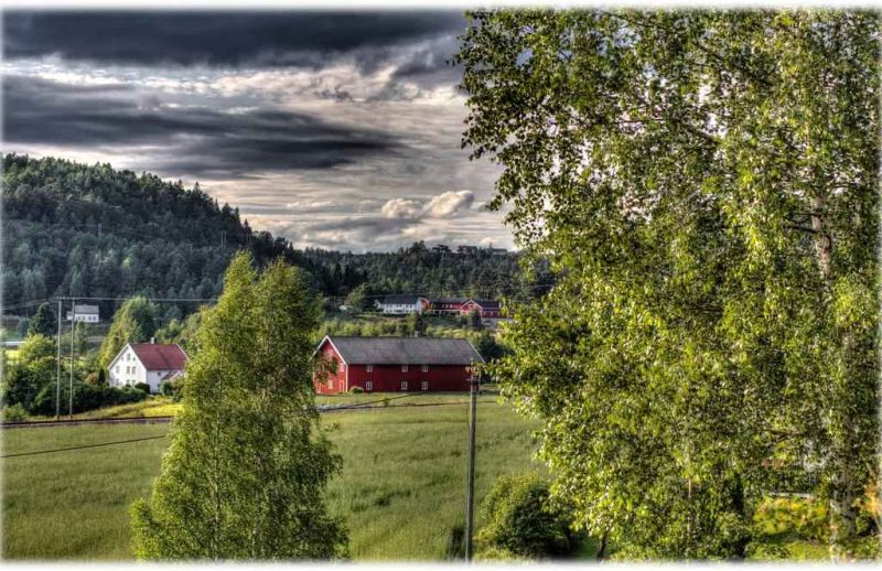 countryside.jpg